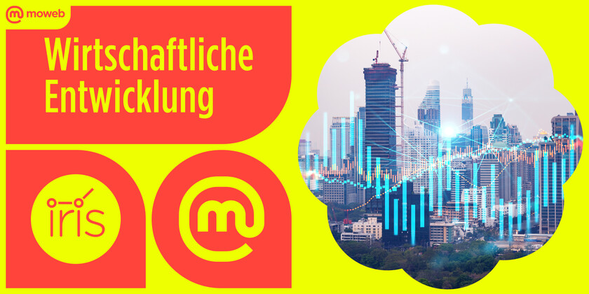Der Economic Confidence Report: Gemeinsame Studie mit dem Forschungsnetzwerk IRIS